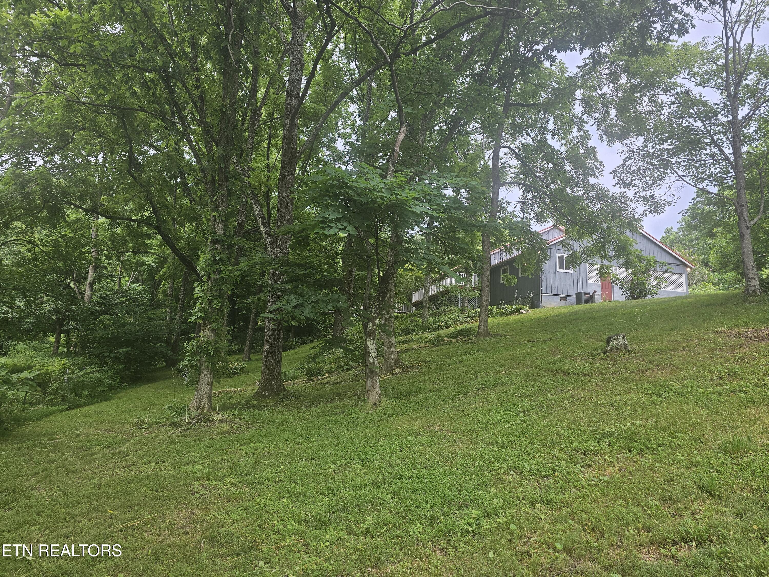 925 Tweed Springs Road Greeneville, TN 37743 - Photo 47 of 53 20260618_175707
