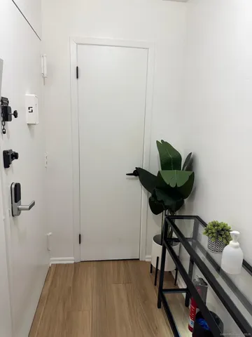 a view of a room that has a bench and a plant in it