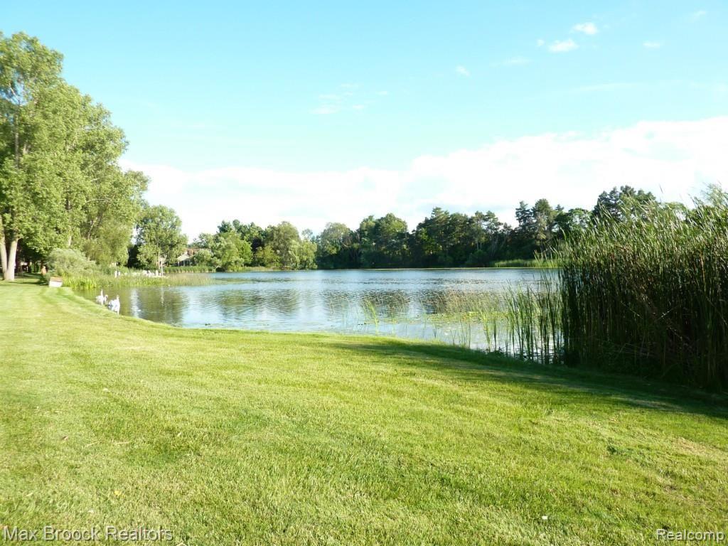 3959 Shellmarr Lane Bloomfield Hills, MI 48302 - Photo 85 of 86 Note: left waters edge, Three Swans a Swimming