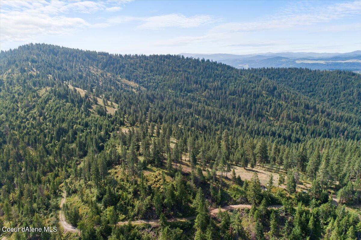 Nna East Alamo Road Harrison, ID 83833 - Photo 11 of 44 Open and Wooded