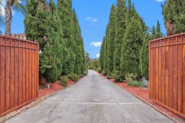 a view of path along with trees