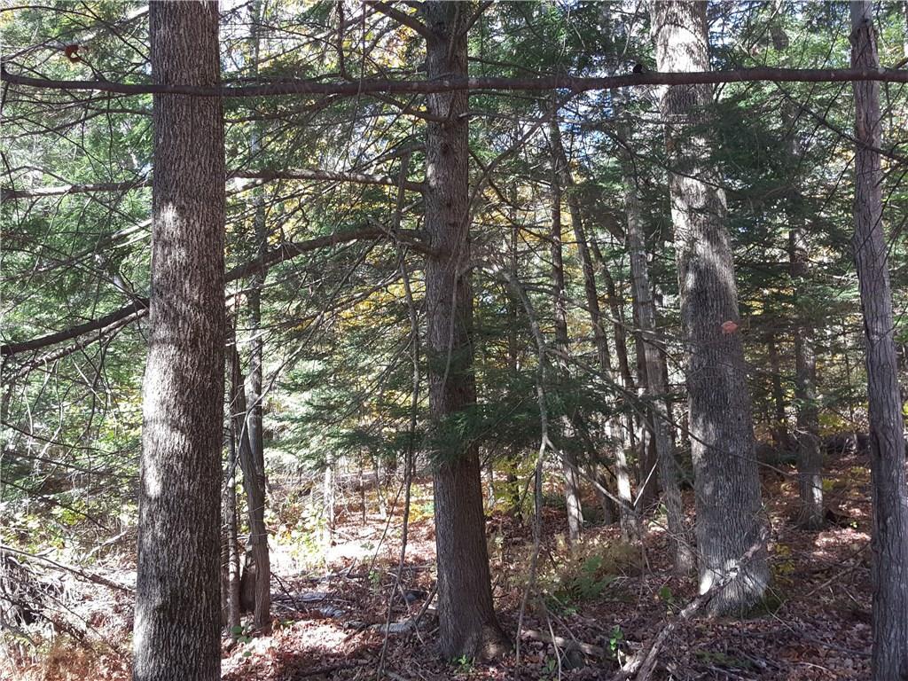 52 Torsey Shores Road Readfield, ME 04355 - Photo 22 of 23 Over-sized lot, near 3/4 acres...