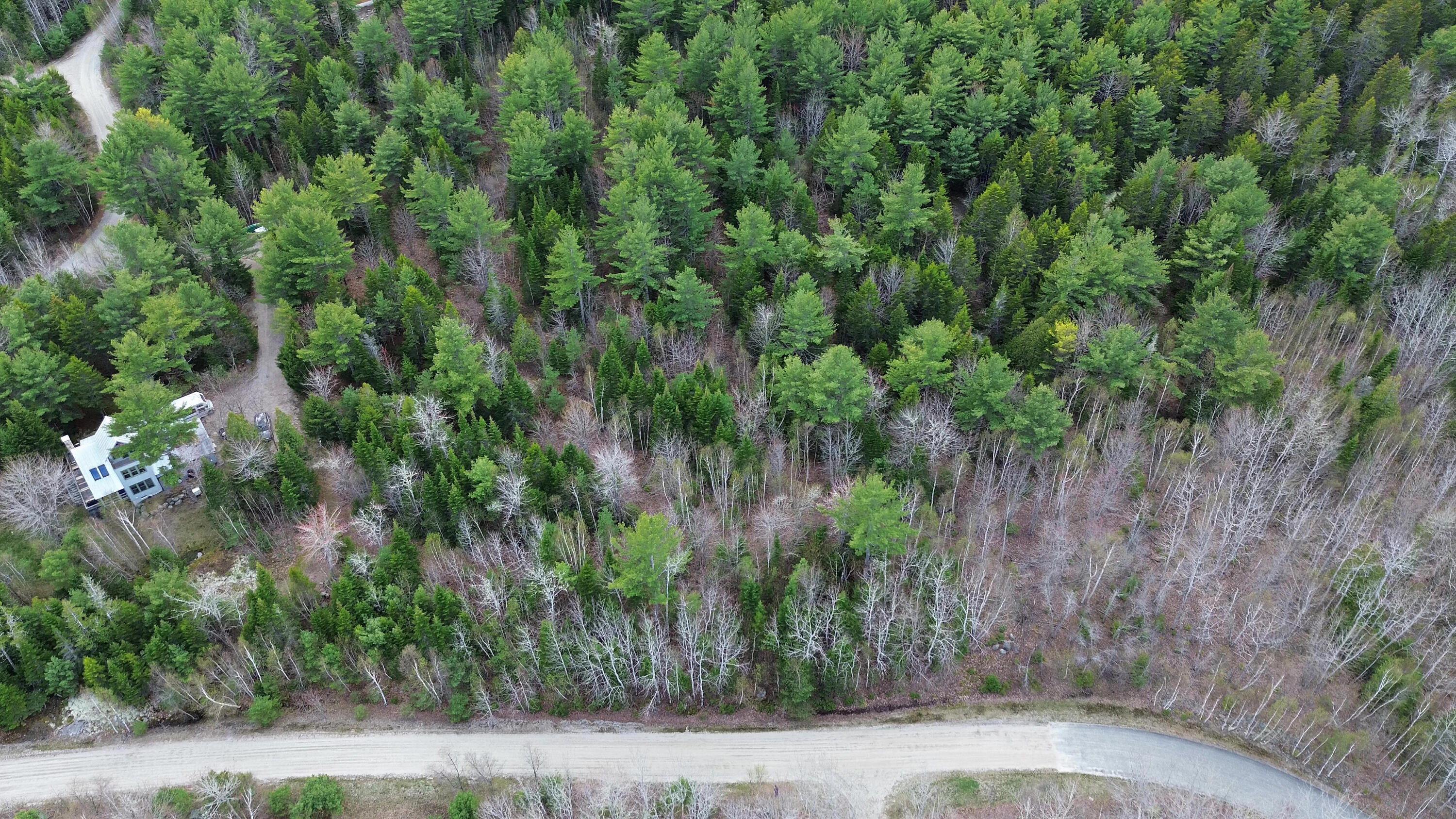 Lot 1 Bailey Mountain Road Franklin, ME 04634 - Photo 6 of 12