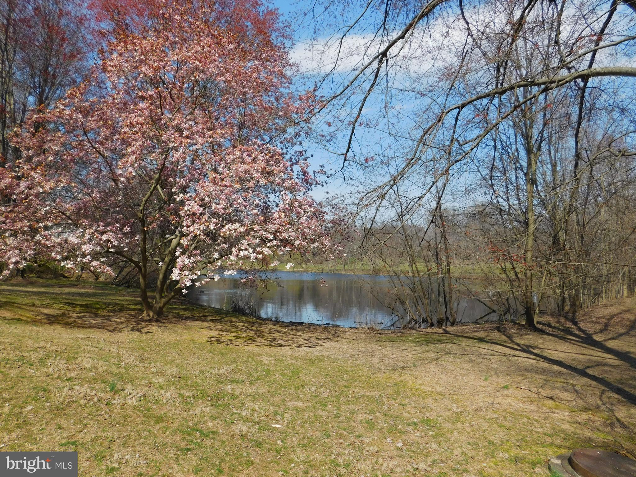 2191 Pond View Court Reston, VA 20191 - Photo 54 of 61 The Pond.