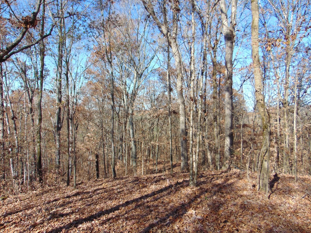 0 Athens Road Delano, TN 37325 - Photo 8 of 10