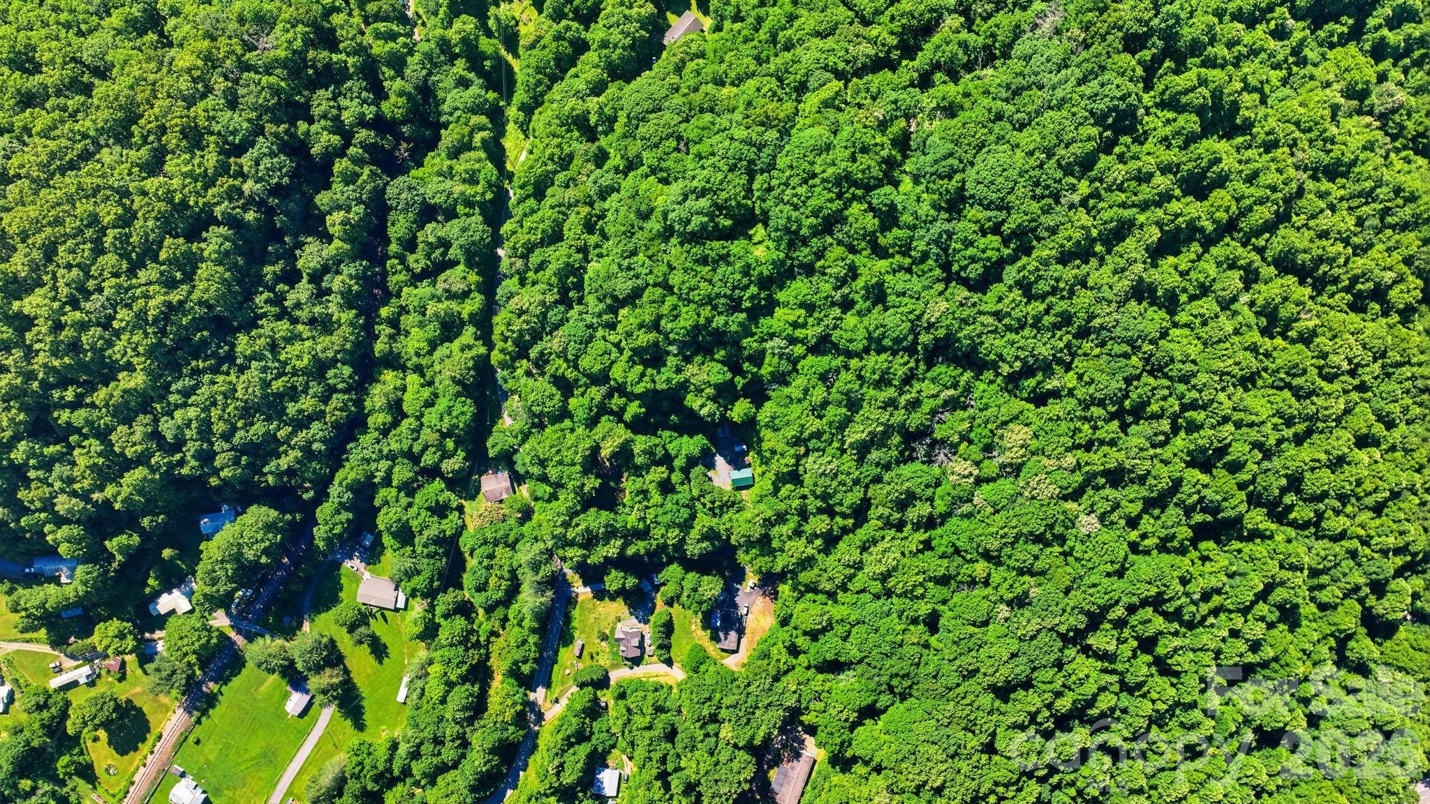 Tbd Dark Ridge Road Sylva, NC 28779 - Photo 16 of 17