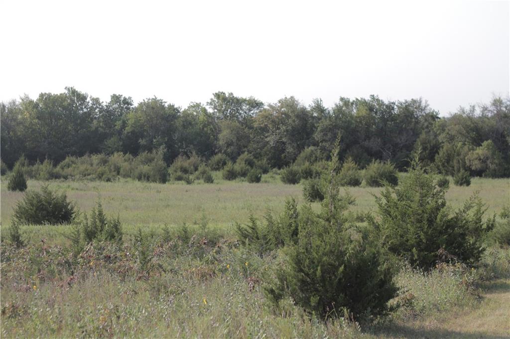 0 Texas Road Moran, KS 66755 - Photo 49 of 50 Gallery Image 49