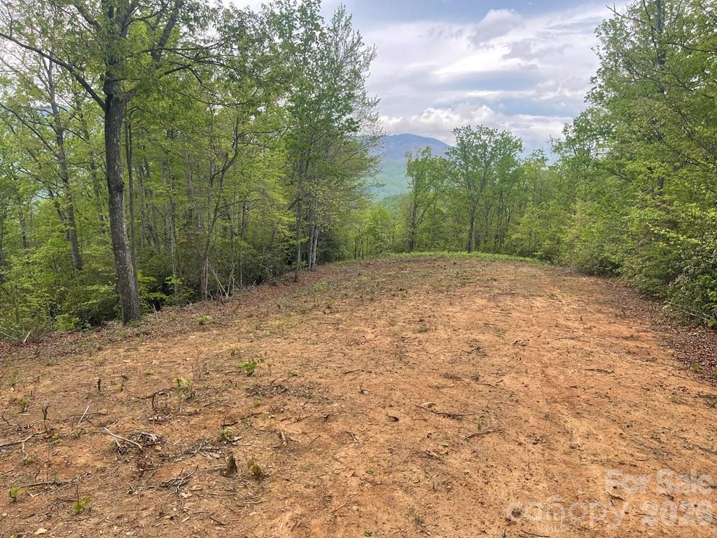 700 Copperhead Cove Road Sylva, NC 28779 - Photo 19 of 23