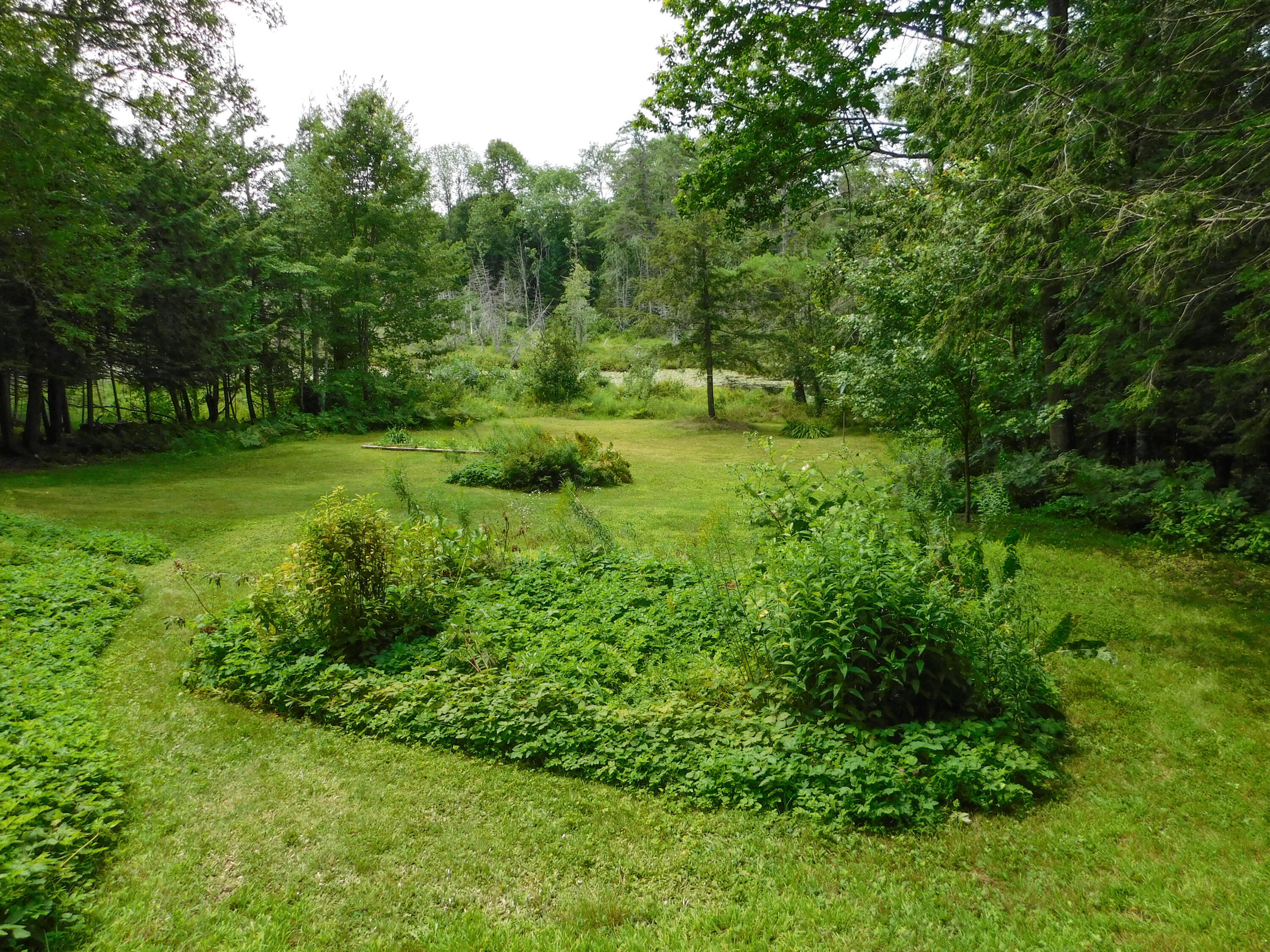 312 Line Road Corinna, ME 04928 - Photo 41 of 52 Flower Beds
