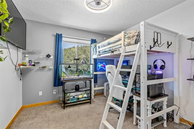 $525,000 | 987 Wisp Creek Drive, Bailey, CO 80421