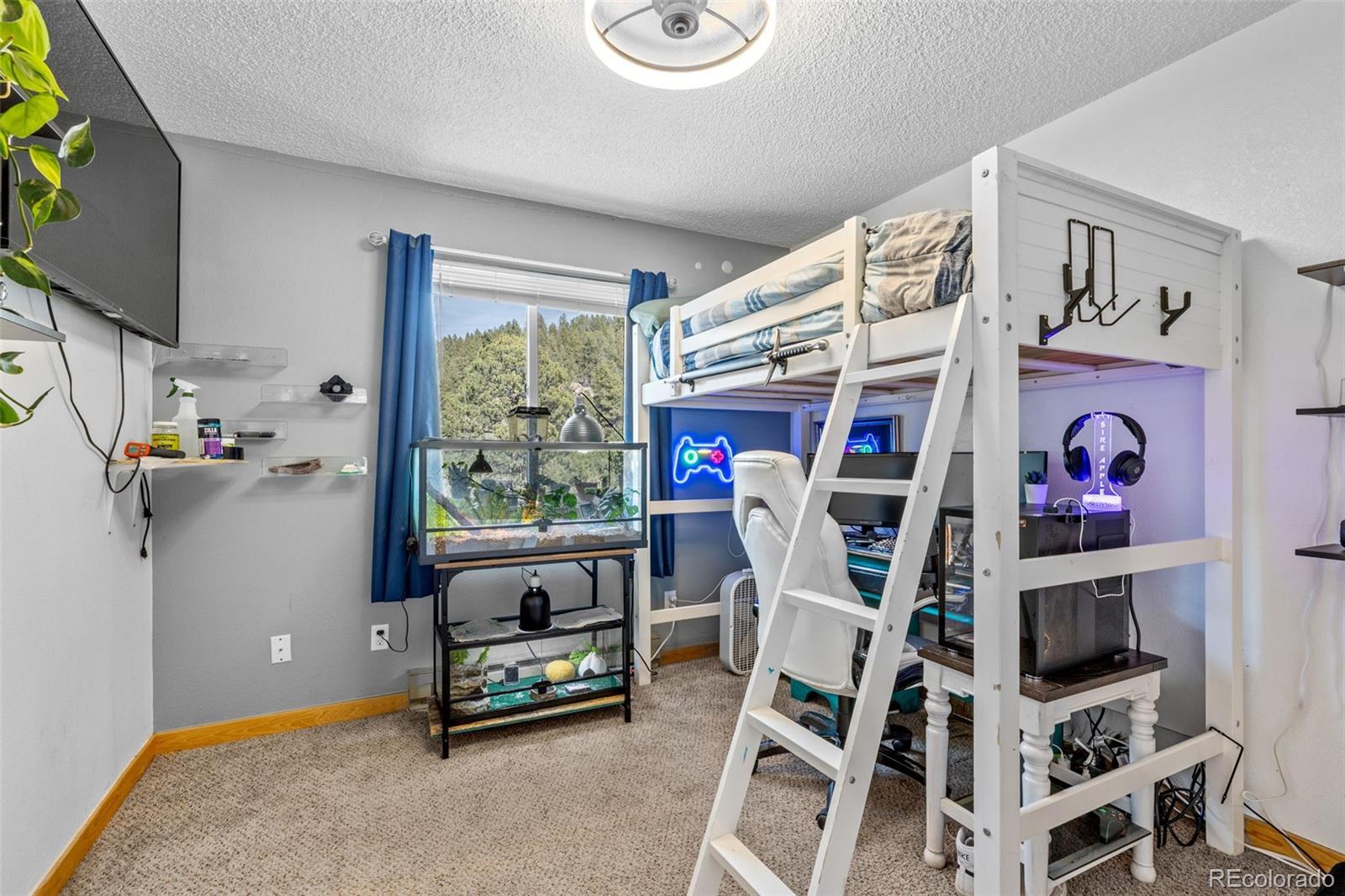 987 Wisp Creek Drive Bailey, CO 80421 - Photo 11 of 22 a living room with furniture and a flat screen tv