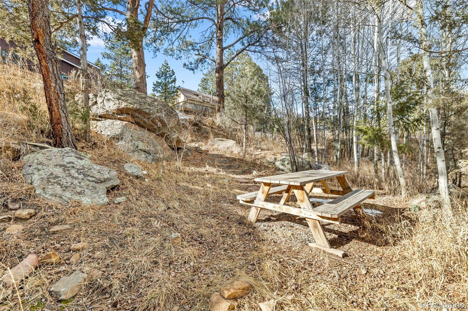 987 Wisp Creek Drive Bailey, CO 80421 - Photo 20 of 22 a view of a backyard with a bench and a tree