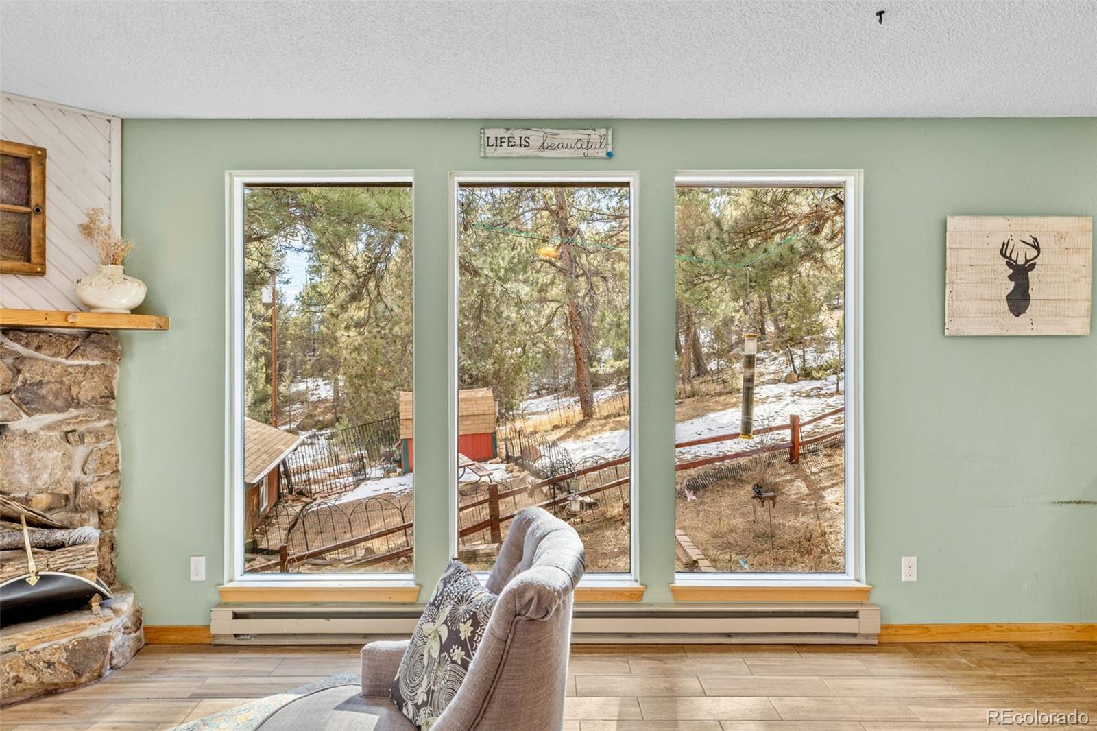 987 Wisp Creek Drive Bailey, CO 80421 - Photo 2 of 22 a view of a living room and a window