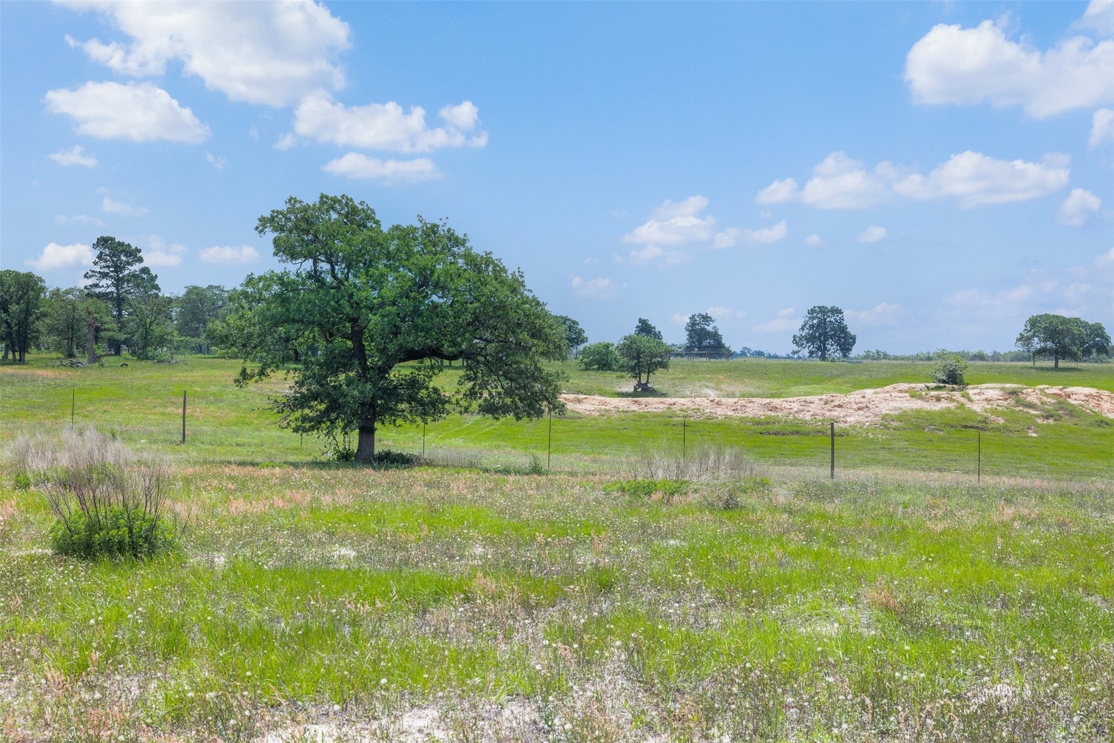 622 Red Rock Ranch Road Red Rock, TX 78662 - Photo 16 of 46 a view of a lake with a yard