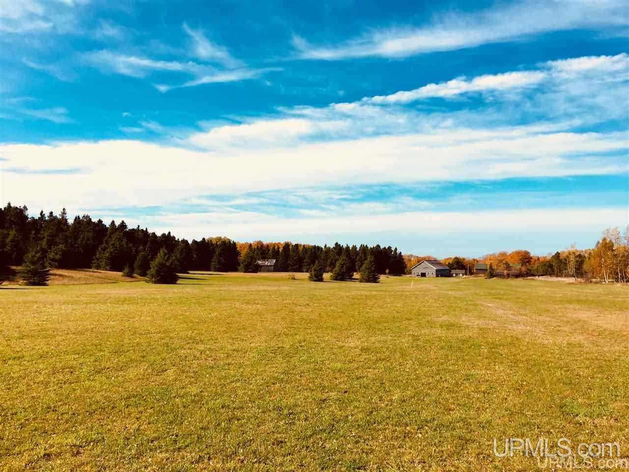 21054 McGunn Creek Road Calumet, MI 49913 - Photo 29 of 49