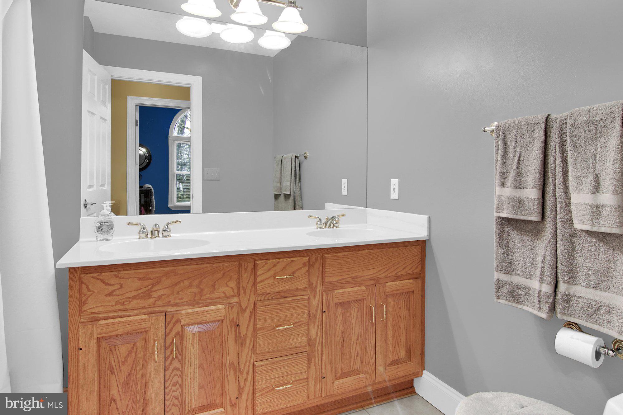 1335 Carriage House Road Middletown, PA 17057 - Photo 22 of 32 Bathroom