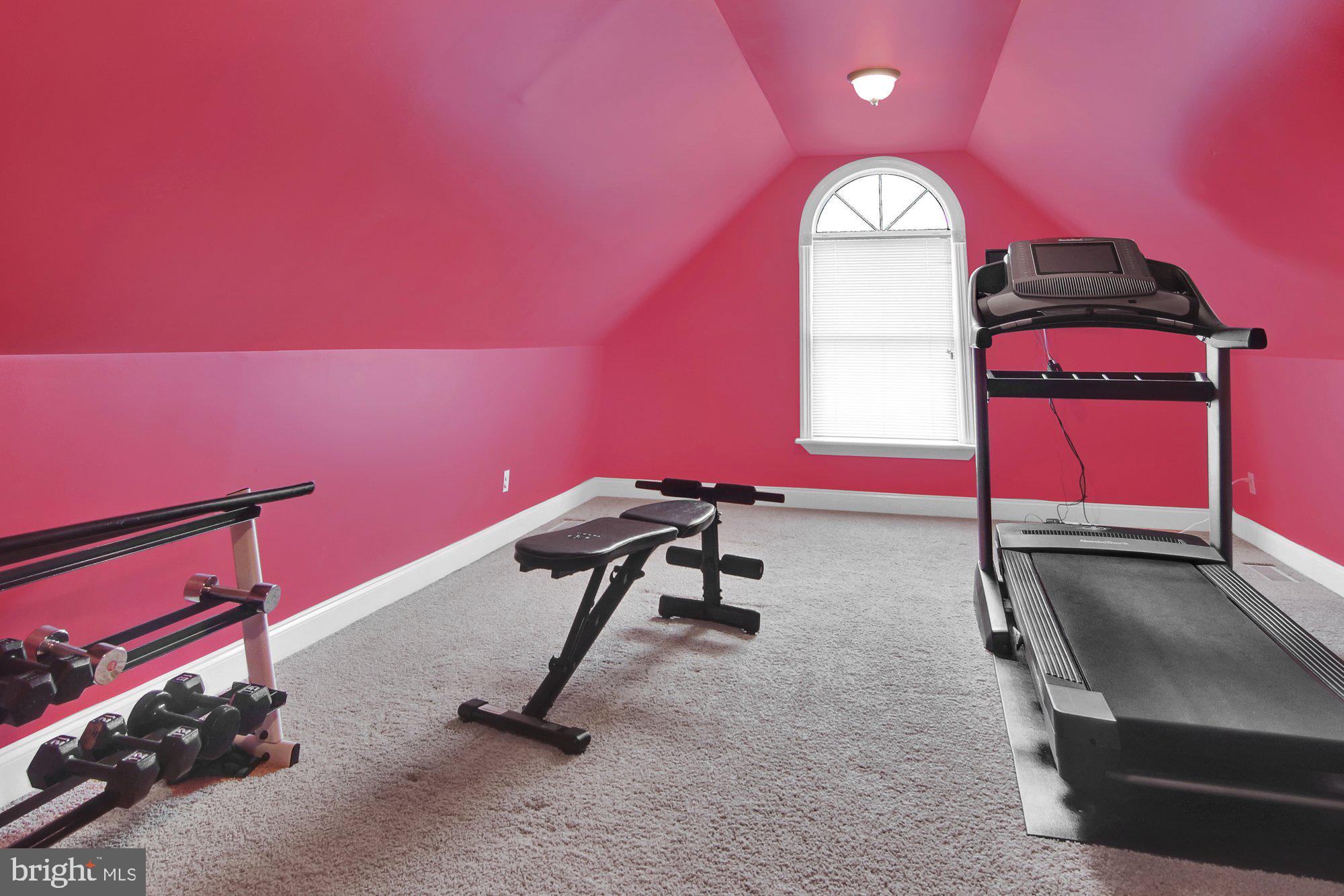 1335 Carriage House Road Middletown, PA 17057 - Photo 23 of 32 Exercise Room