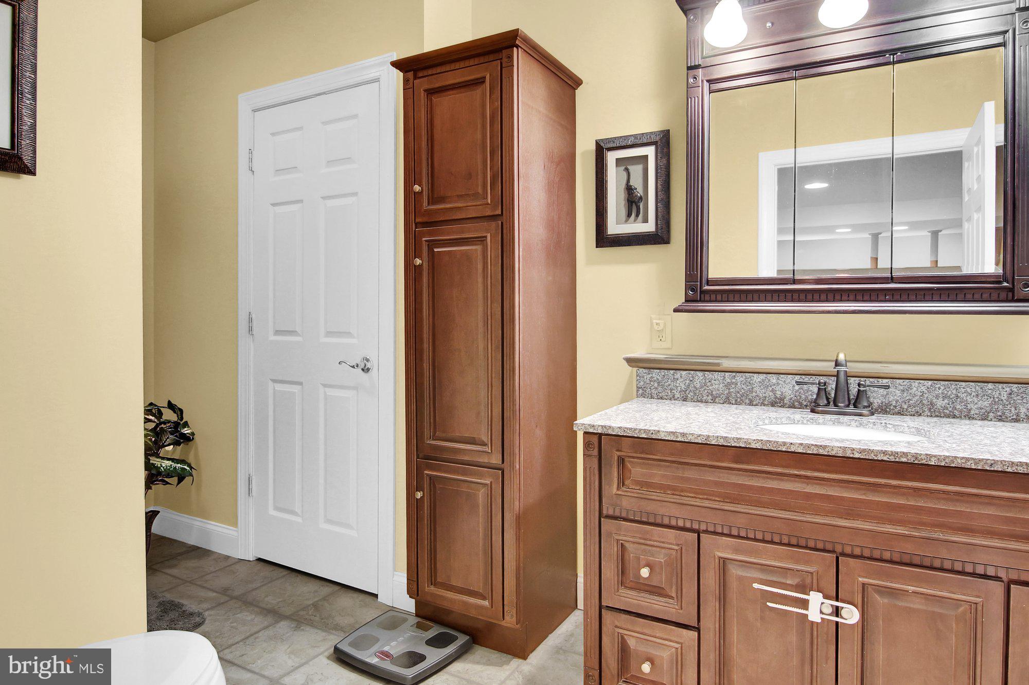 1335 Carriage House Road Middletown, PA 17057 - Photo 26 of 32 Bathroom