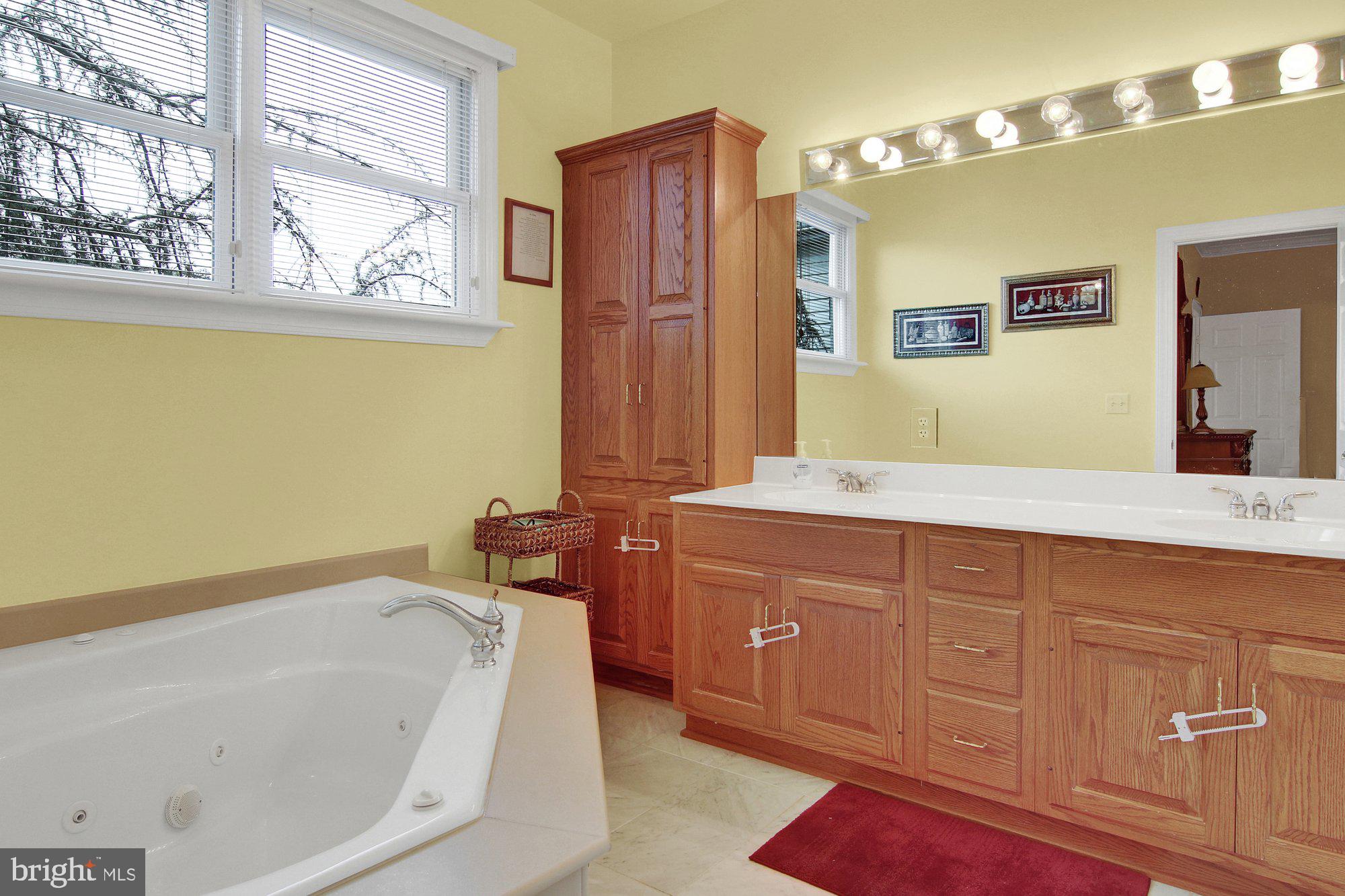 1335 Carriage House Road Middletown, PA 17057 - Photo 10 of 32 Bathroom