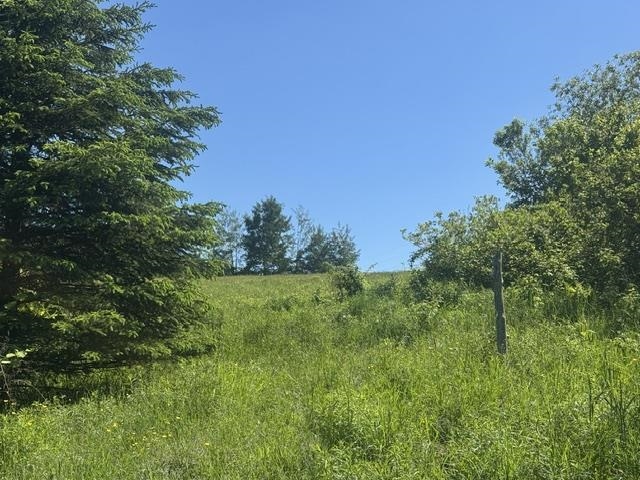 3491 County Road Albany, VT 05875 - Photo 44 of 44