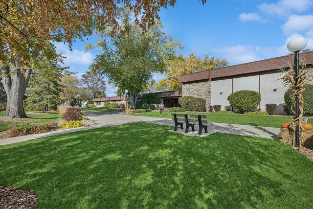 a view of a garden with trees