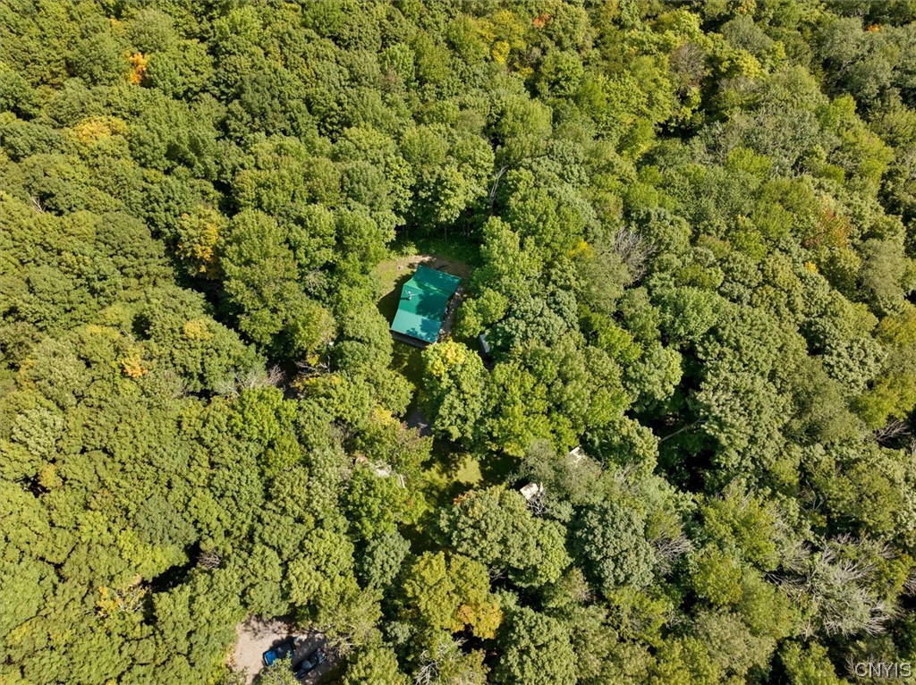 3598 Smith Road West Turin, NY 13473 - Photo 13 of 50