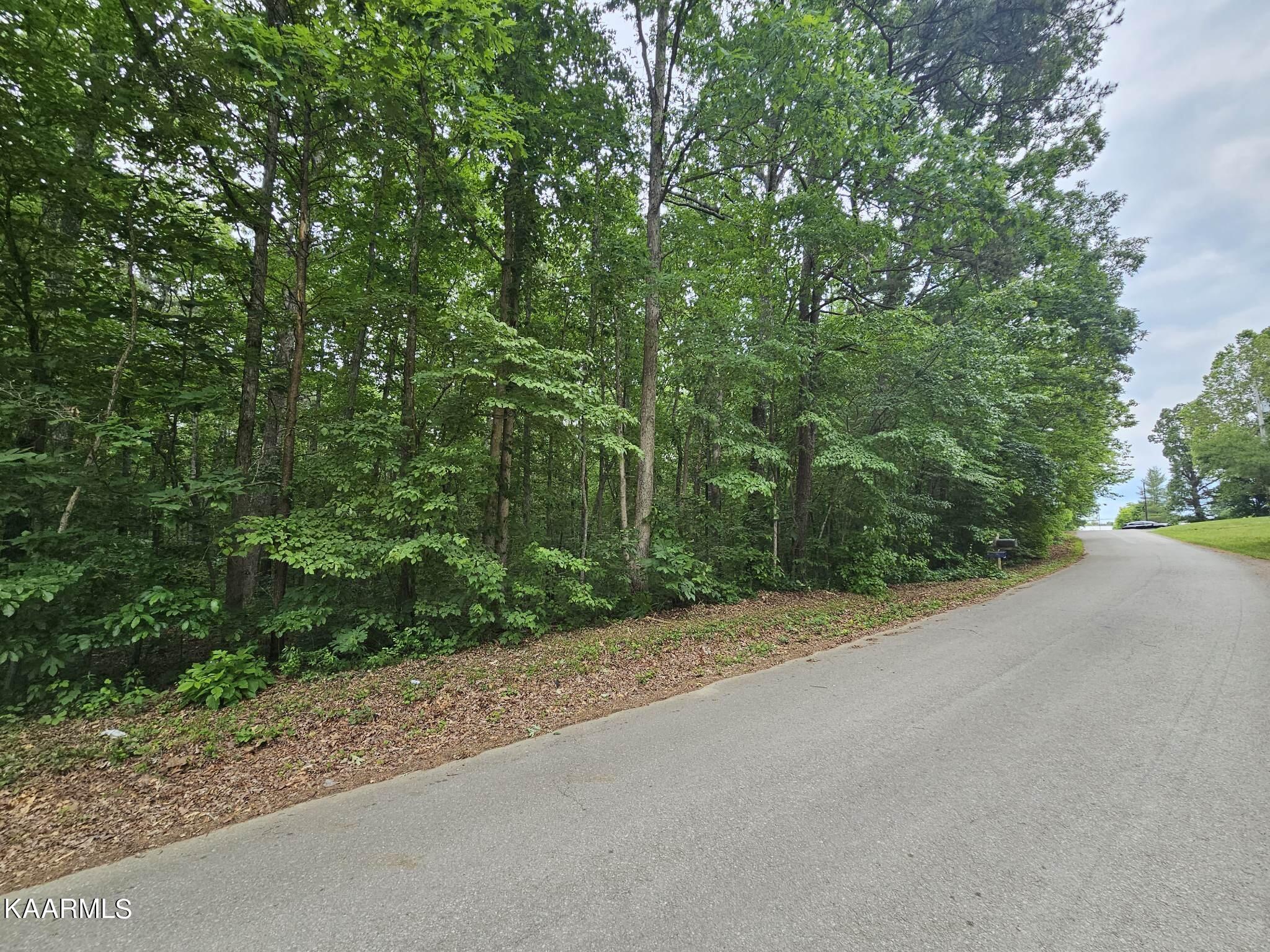 Dye Road Clarkrange, TN 38553 - Photo 1 of 11 1