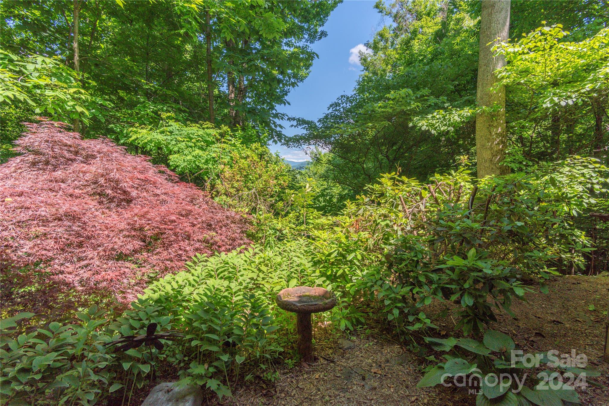 3191 Pigeon Road Waynesville, NC 28786 - Photo 18 of 33 a view of a backyard of a house