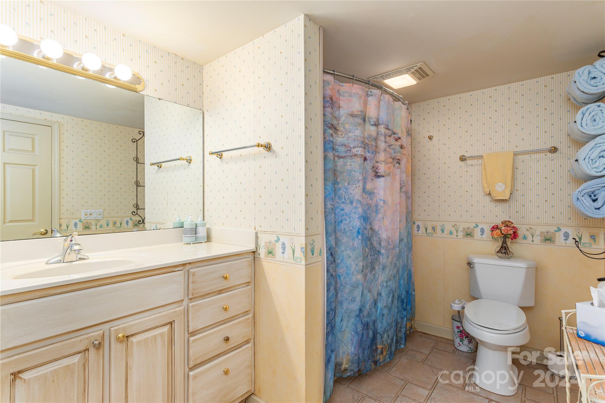 3191 Pigeon Road Waynesville, NC 28786 - Photo 25 of 33 a bathroom with a sink a toilet and shower