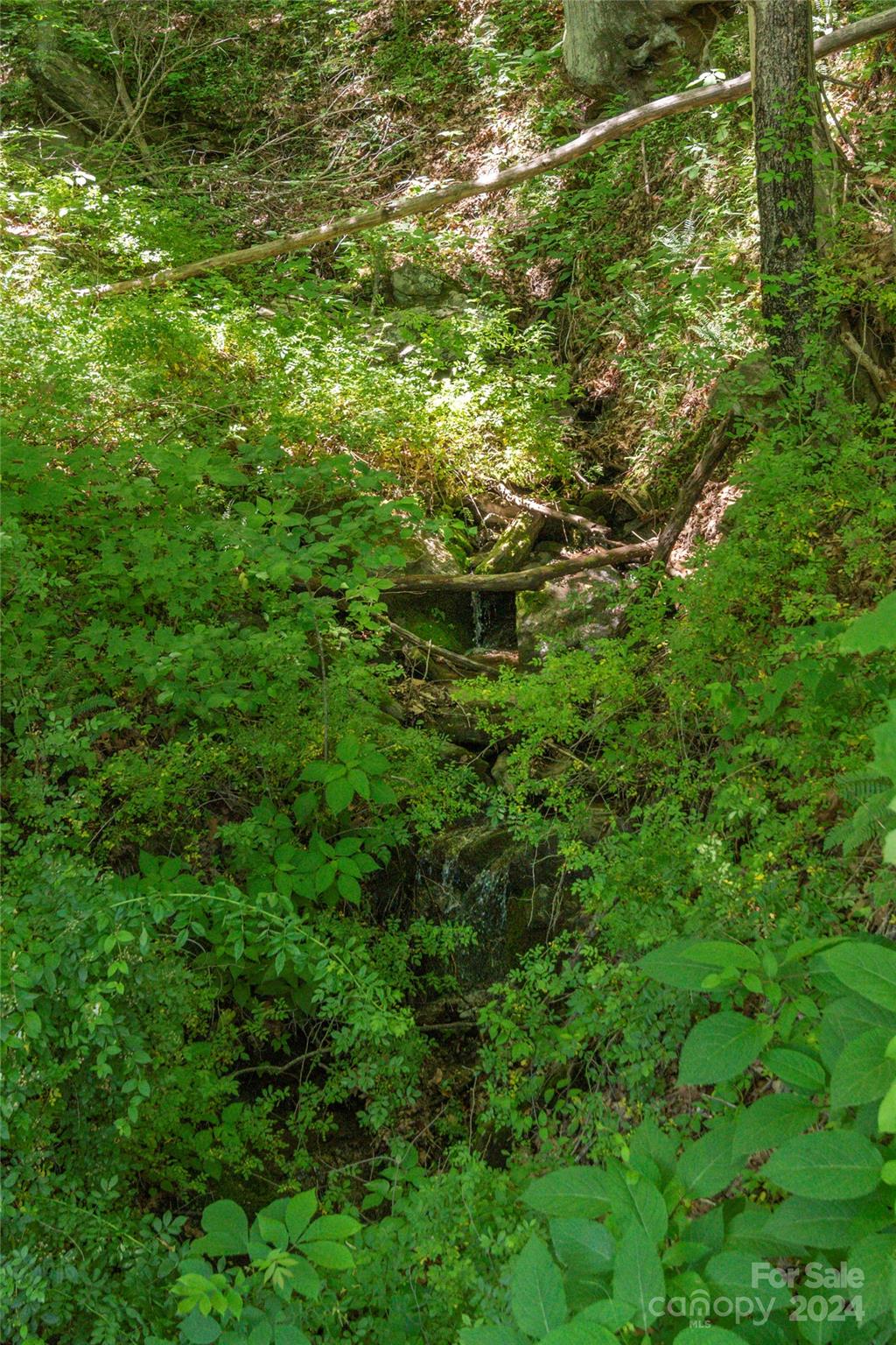 3191 Pigeon Road Waynesville, NC 28786 - Photo 32 of 33 a view of a lush green field