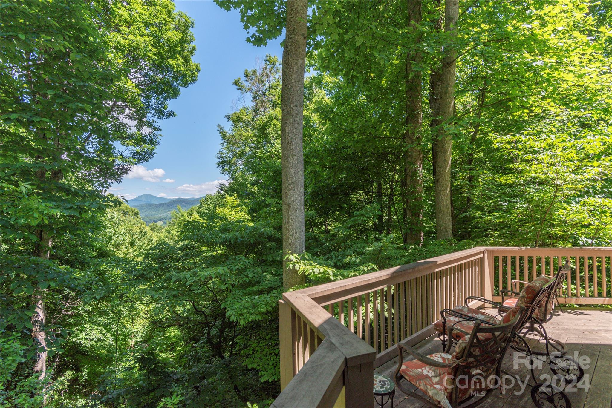 3191 Pigeon Road Waynesville, NC 28786 - Photo 7 of 33 a view of balcony with wooden floor and outdoor seating