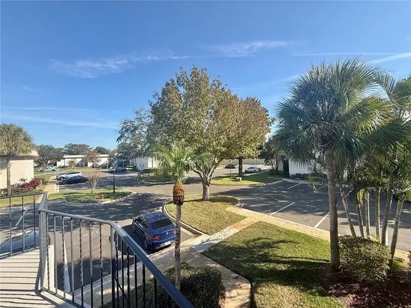a view of backyard with tree