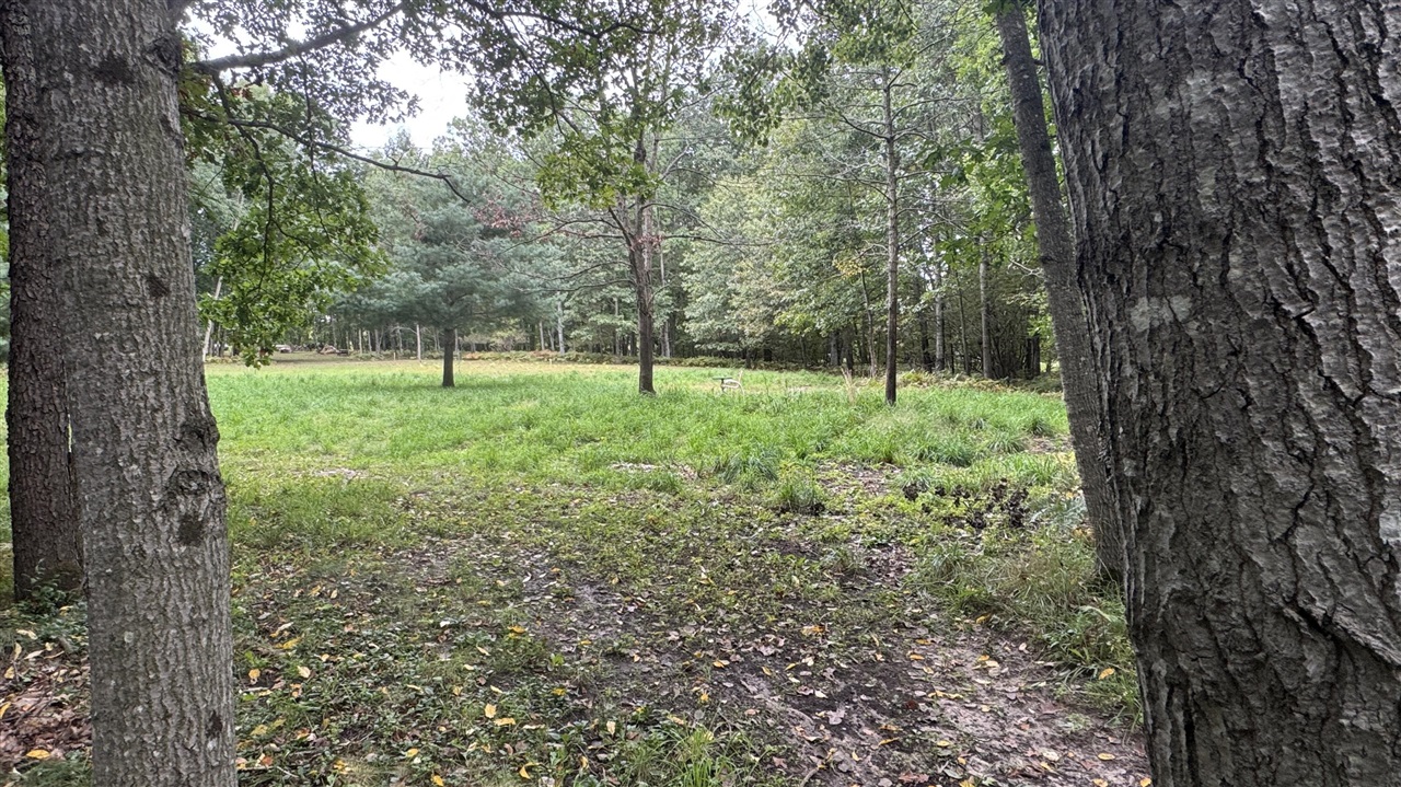 2404 Bialik Road Manistee, MI 49660 - Photo 18 of 20