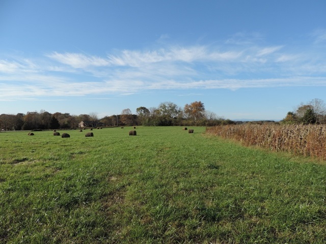 6.81-acres Oakway Road Westminster, SC 29693 - Photo 2 of 10 Gallery Image 2