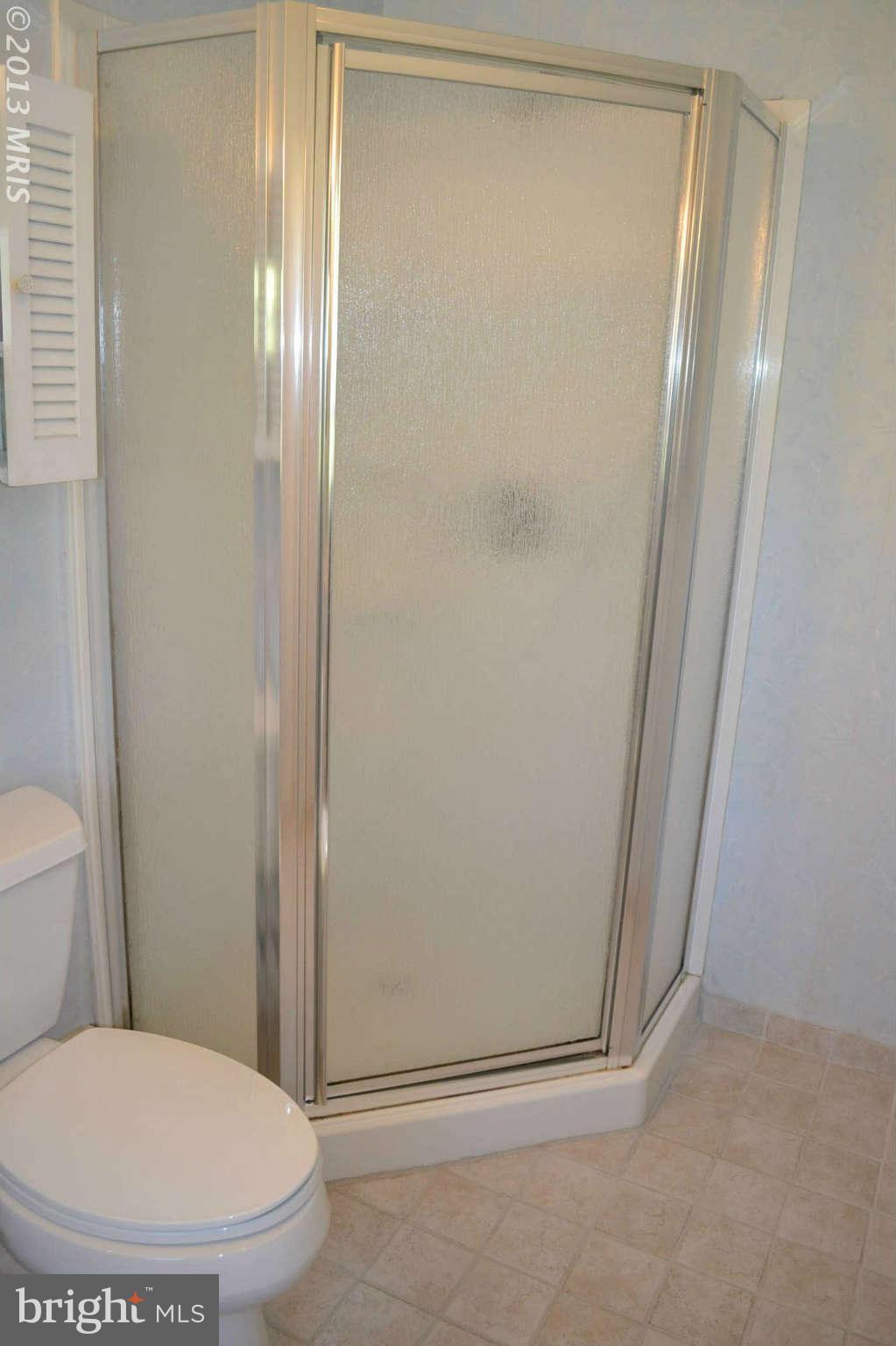 6617 Chelwood Road Baltimore, MD 21209 - Photo 14 of 25 Bath (Master) #2