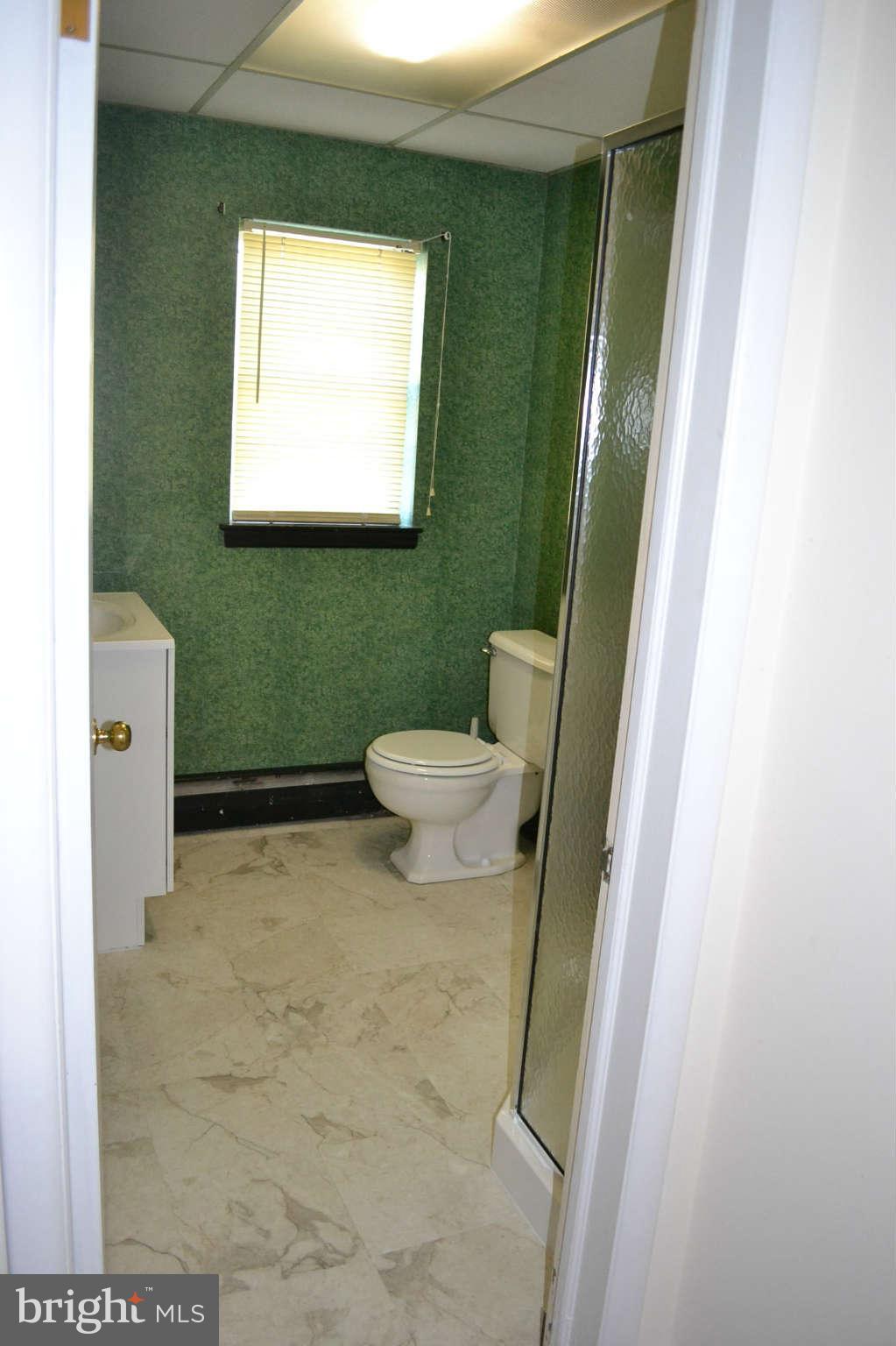 6617 Chelwood Road Baltimore, MD 21209 - Photo 22 of 25 Lower level bath