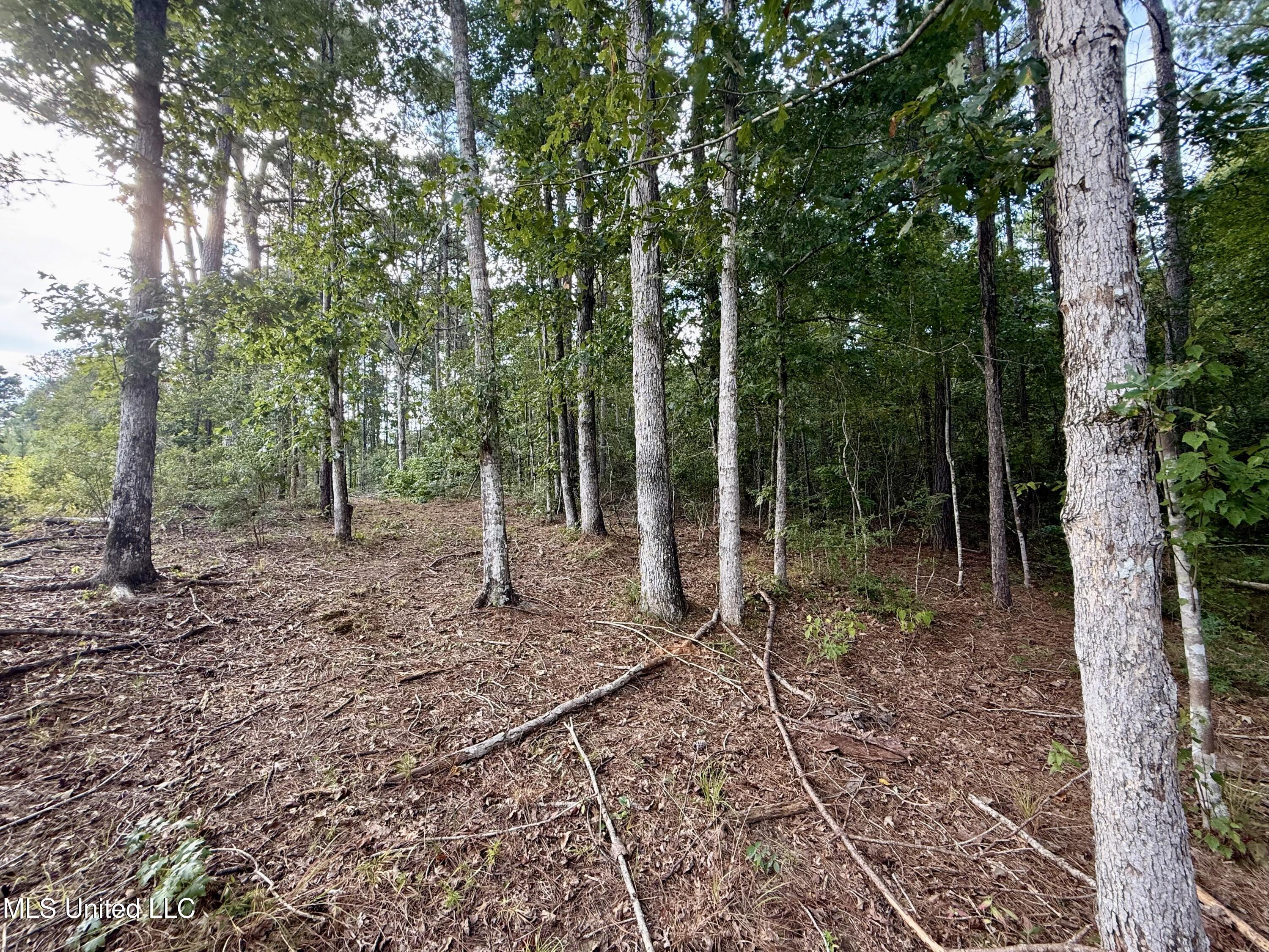 5450 Jernigan Road Liberty, MS 39645 - Photo 15 of 68 IMG_1155