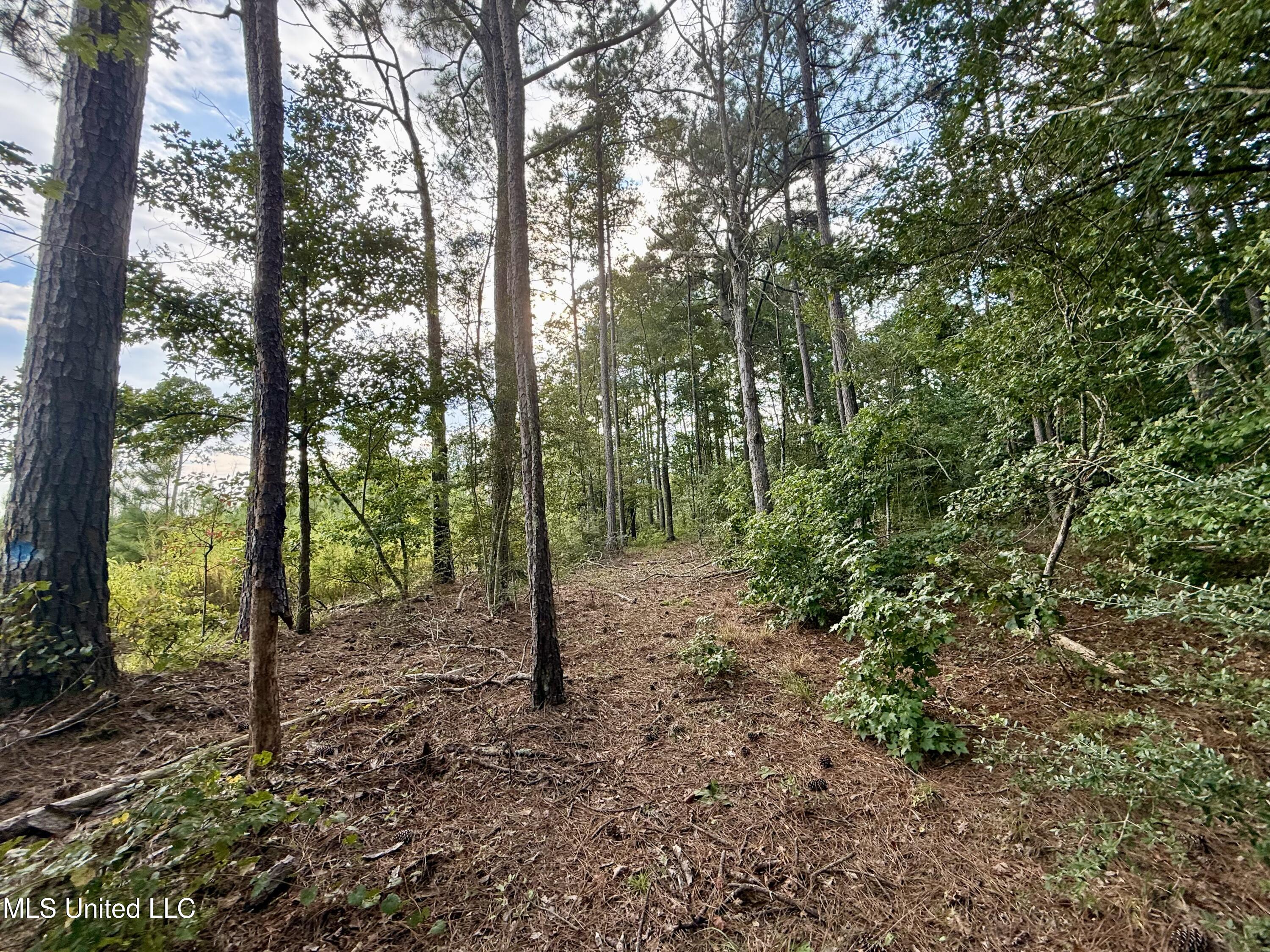 5450 Jernigan Road Liberty, MS 39645 - Photo 16 of 68 IMG_1156