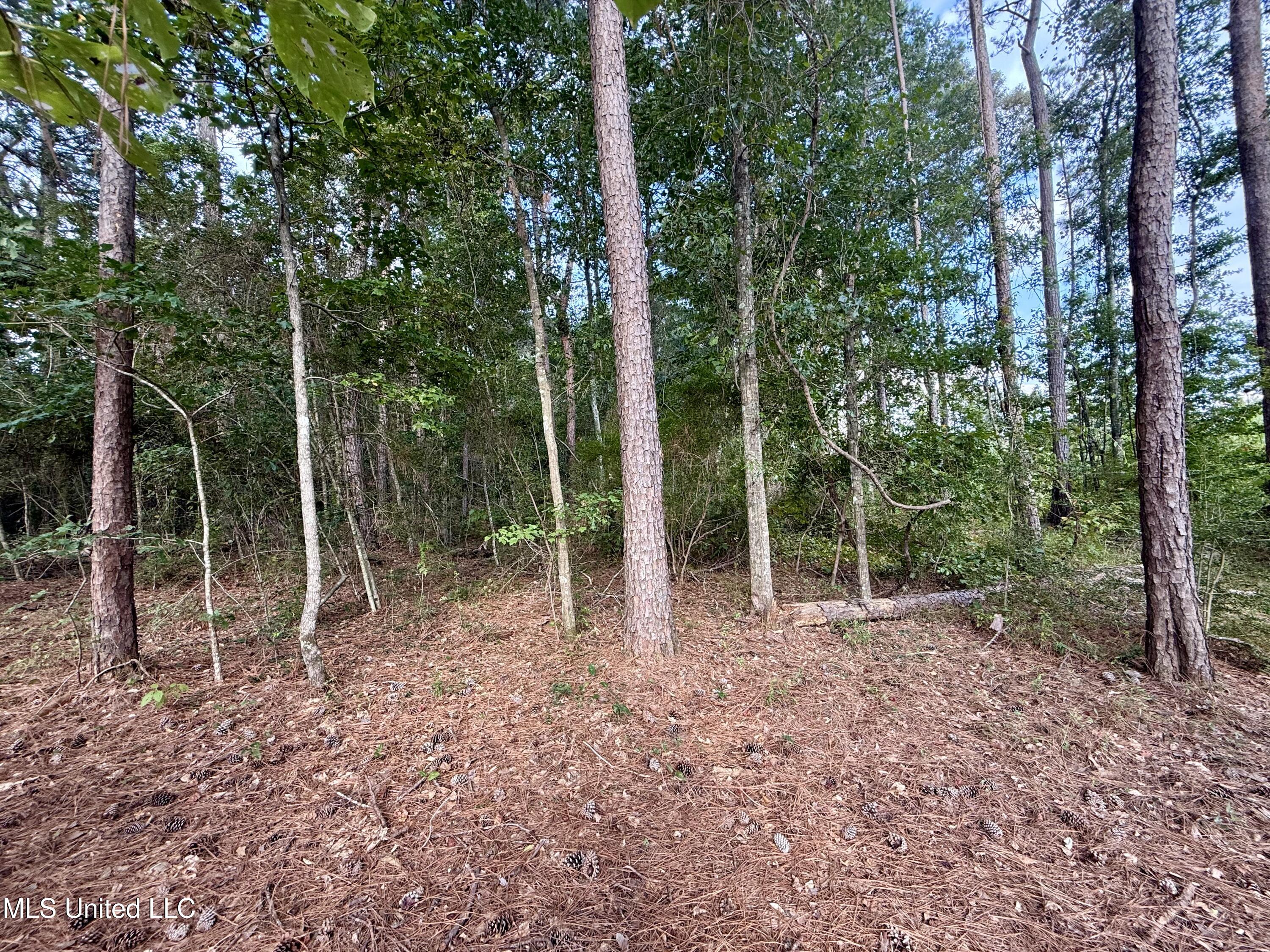 5450 Jernigan Road Liberty, MS 39645 - Photo 17 of 68 IMG_1157