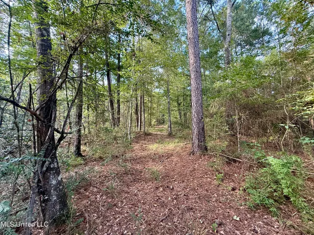 $235,000 | 5450 Jernigan Road, Liberty, MS 39645