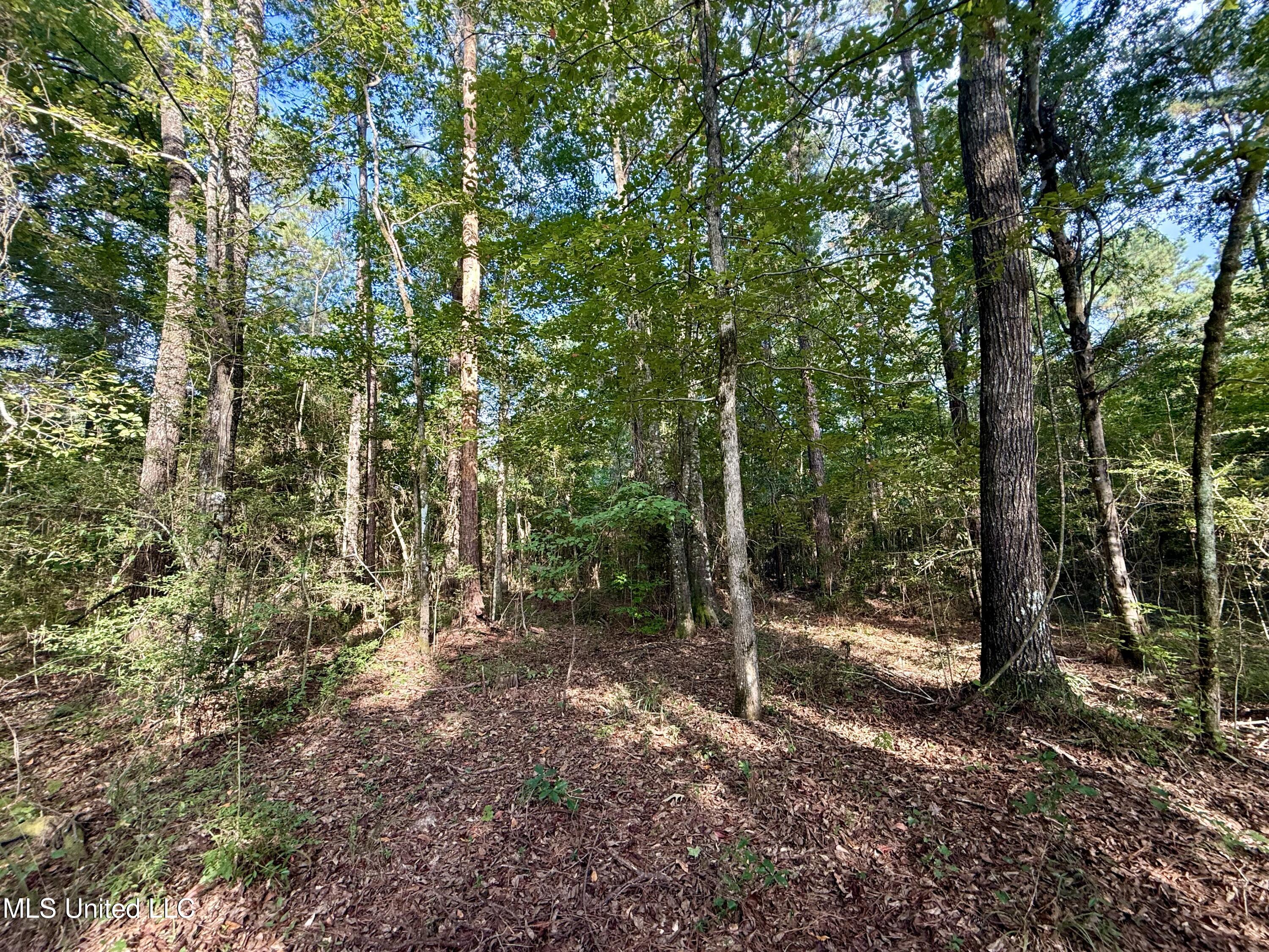 5450 Jernigan Road Liberty, MS 39645 - Photo 19 of 68 IMG_1159