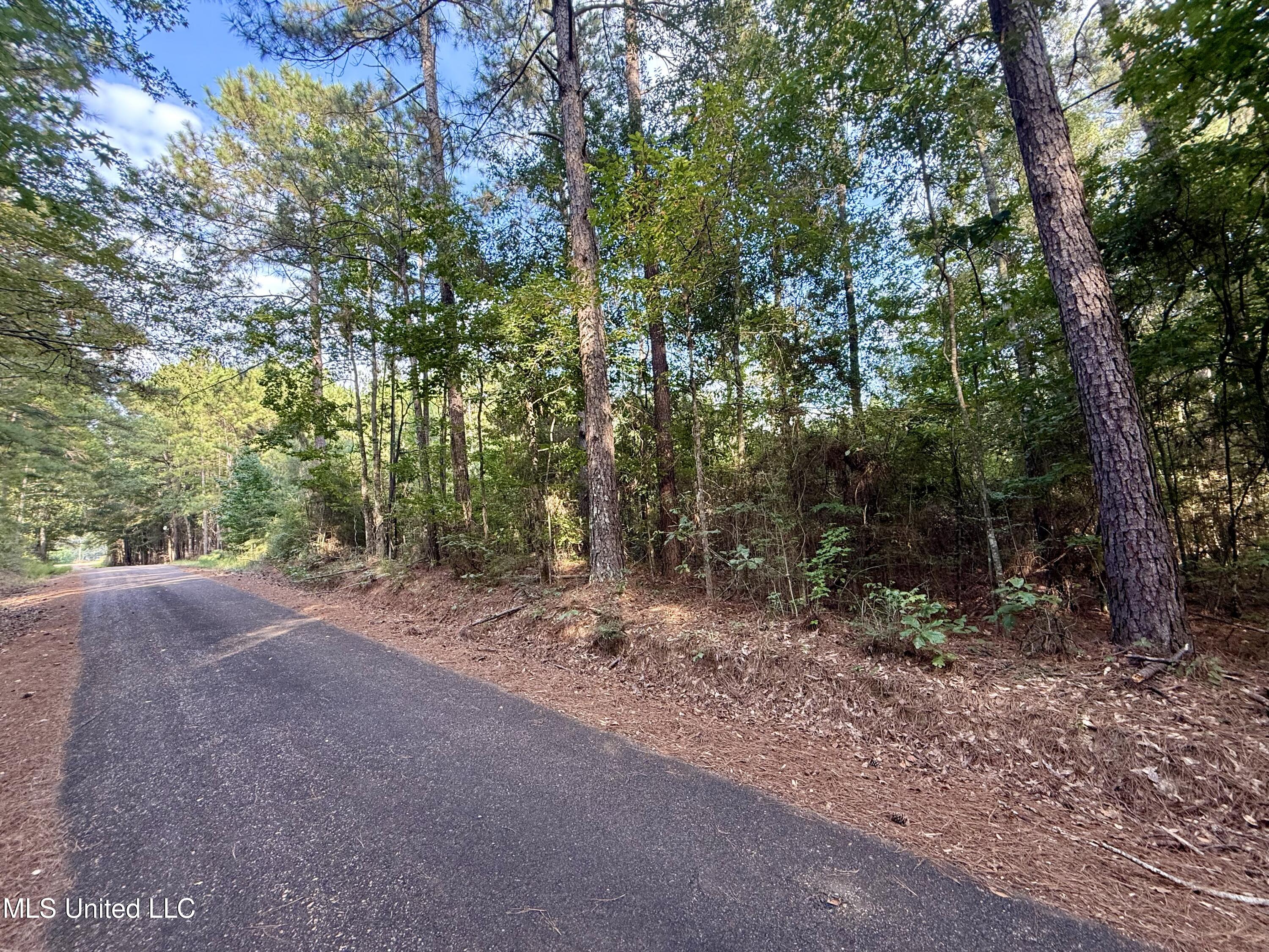 5450 Jernigan Road Liberty, MS 39645 - Photo 20 of 68 IMG_1160