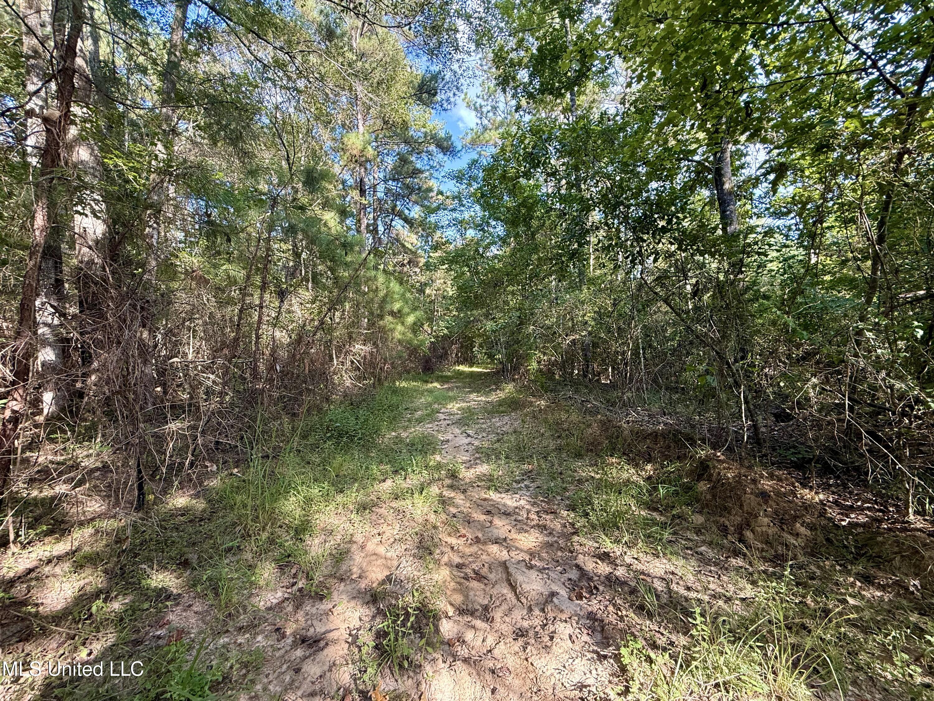 5450 Jernigan Road Liberty, MS 39645 - Photo 2 of 68 IMG_1139