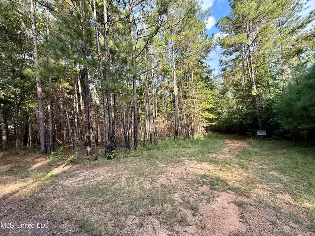 $235,000 | 5450 Jernigan Road, Liberty, MS 39645