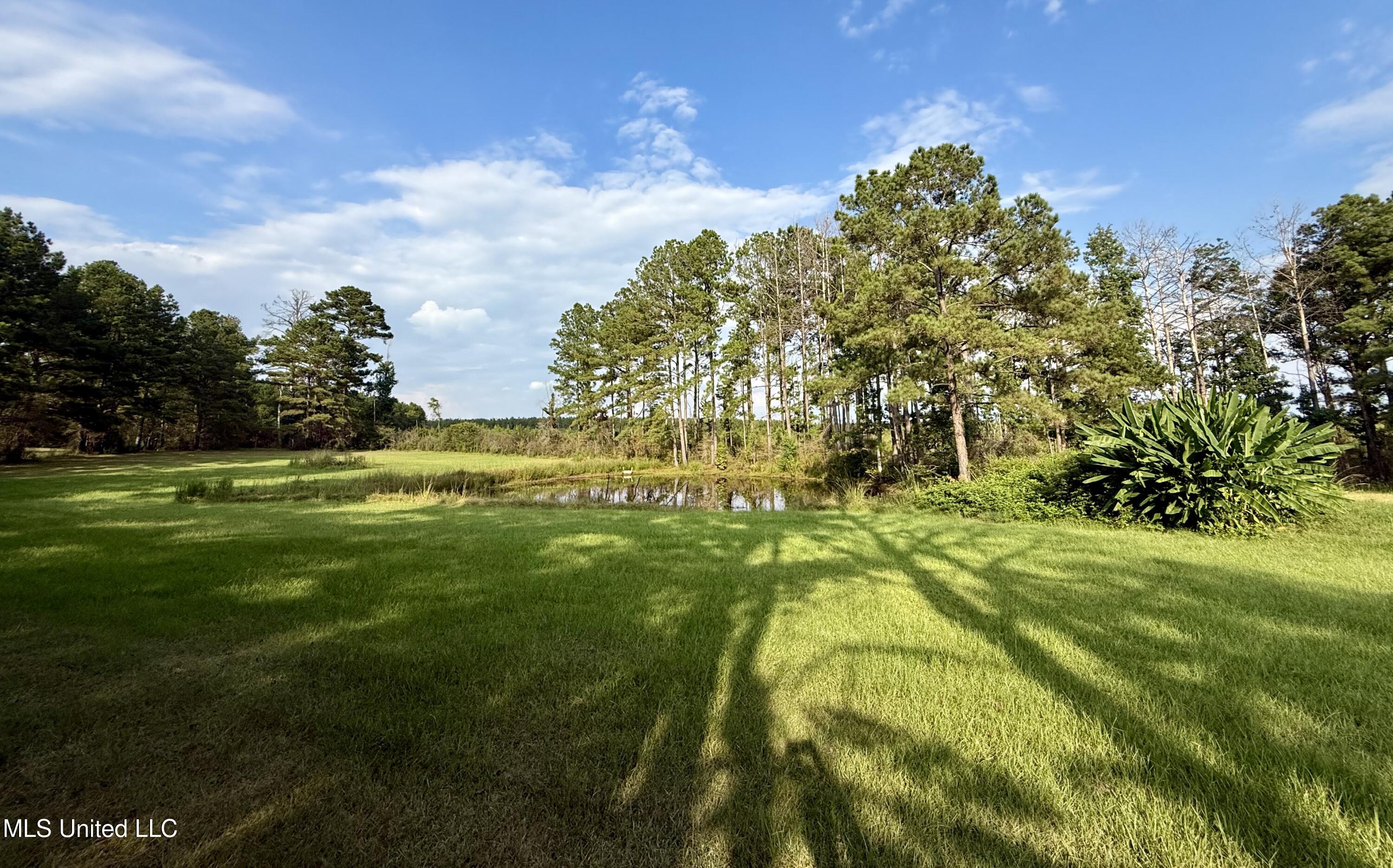 5450 Jernigan Road Liberty, MS 39645 - Photo 22 of 68 IMG_1162