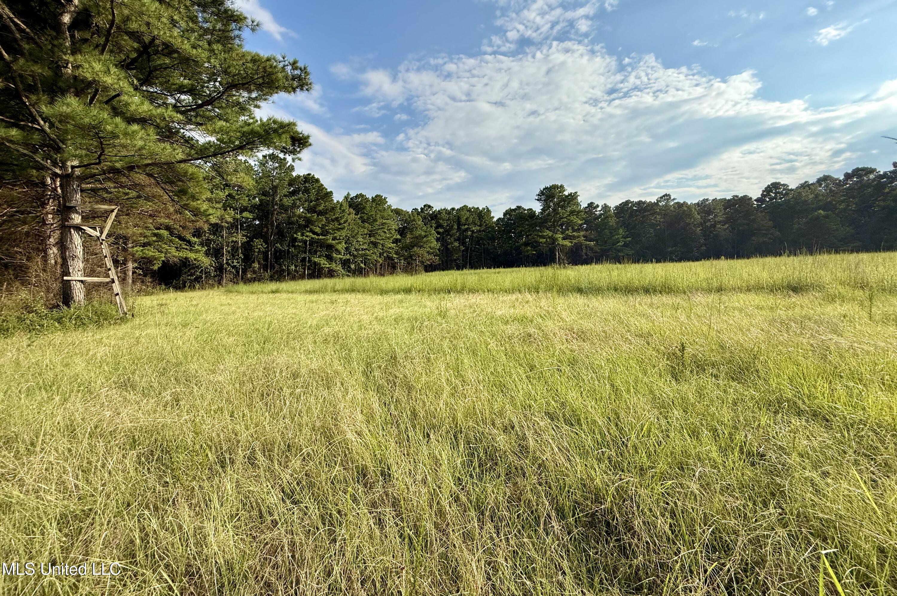 5450 Jernigan Road Liberty, MS 39645 - Photo 23 of 68 IMG_1167