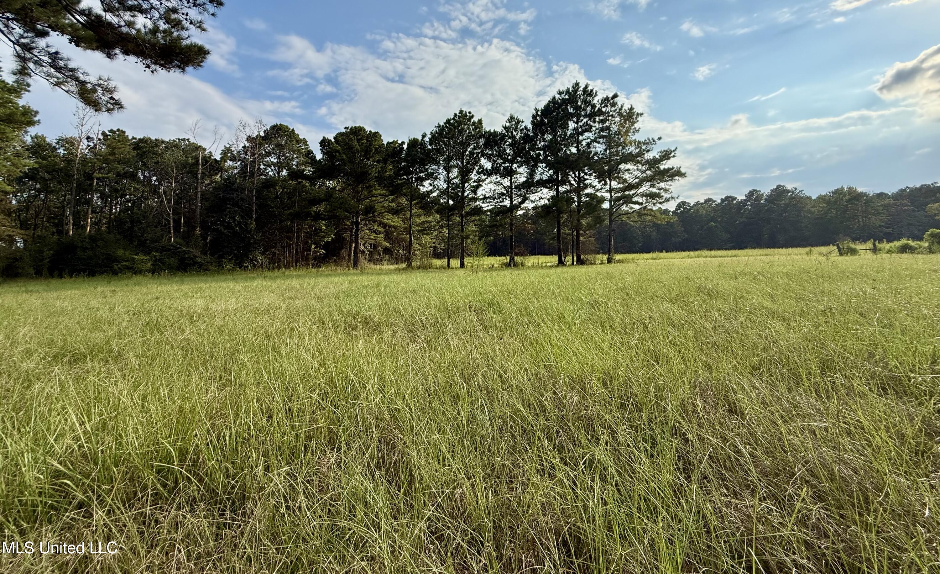 5450 Jernigan Road Liberty, MS 39645 - Photo 24 of 68 IMG_1166