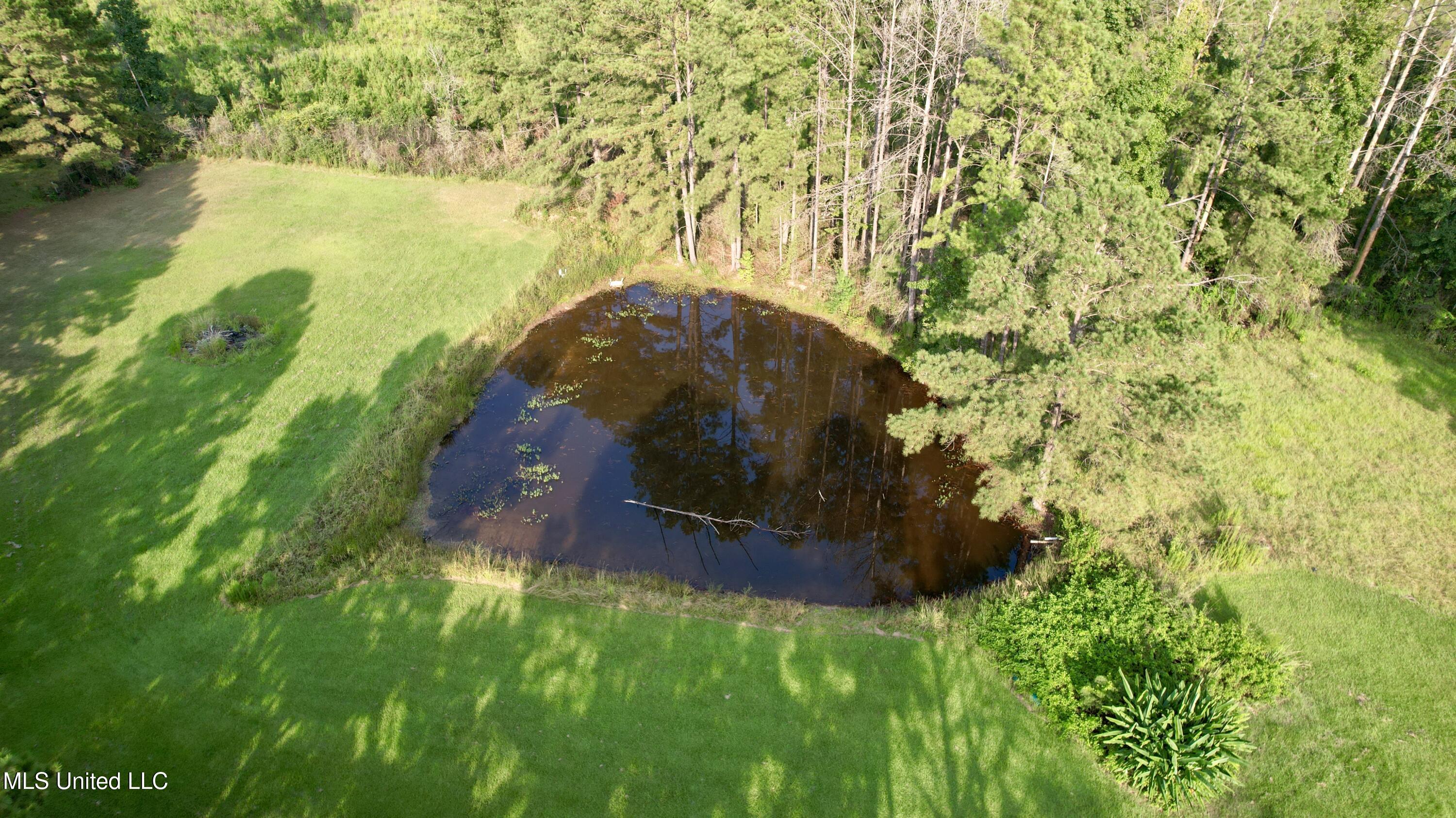 5450 Jernigan Road Liberty, MS 39645 - Photo 29 of 68 dji_fly_20250827_173412_210_175633442116