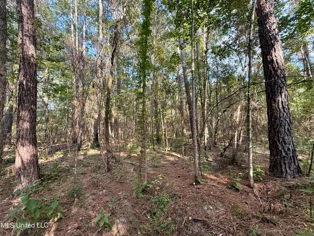 $235,000 | 5450 Jernigan Road, Liberty, MS 39645