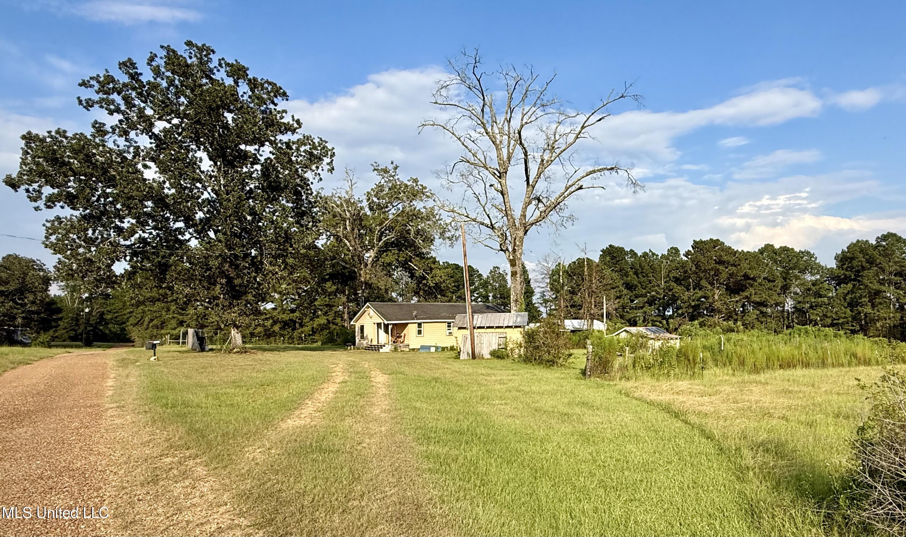 5450 Jernigan Road Liberty, MS 39645 - Photo 33 of 68 IMG_1177